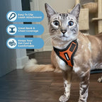 Voyager Escape-Proof Step-in Lock Cat Harness & 5ft Neoprene-Handle Leash Set All-Weather Mesh with Reflective Stitching for Small to Large Cats by Best Pet Supplies, Orange/Black Trim, XS