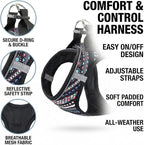 Step in Dog Harness and Leash Set, Reflective Adjustable No Pull Dog Harness for Small Medium Dogs Puppy and Cats, Soft Padded Mesh Vest Harnesses for Girl and Boy Pets(Black Bohemia,L)