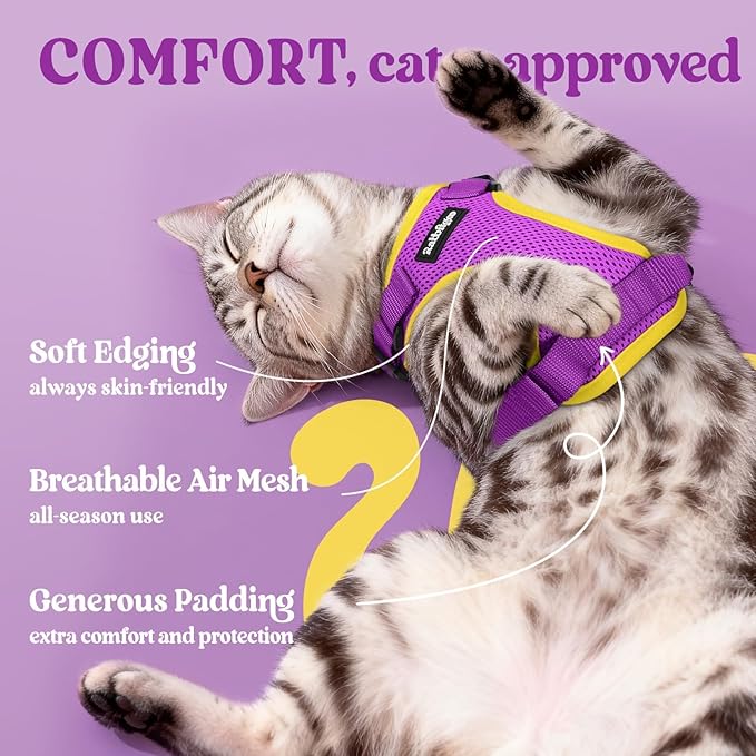 rabbitgoo Cat Harness and Leash for Walking, Escape Proof Soft Adjustable Vest Harnesses for Cats, Easy Control Breathable Reflective Strips Jacket, Purple&Yellow,S