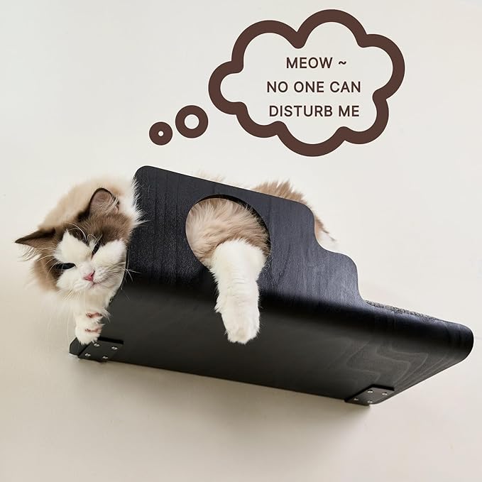 Cat Wall Shelves, Creative Design Cat Shelf with Peephole, 19 x 10 inch Cats Wall Furniture with Comfortable Pad, Cats Perch for Sleeping, Playing, and Scratching, Walnut