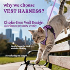 rabbitgoo Cat Harness and Leash for Walking, Escape Proof Soft Adjustable Vest Harnesses for Cats, Easy Control Breathable Reflective Strips Jacket, Purple, M