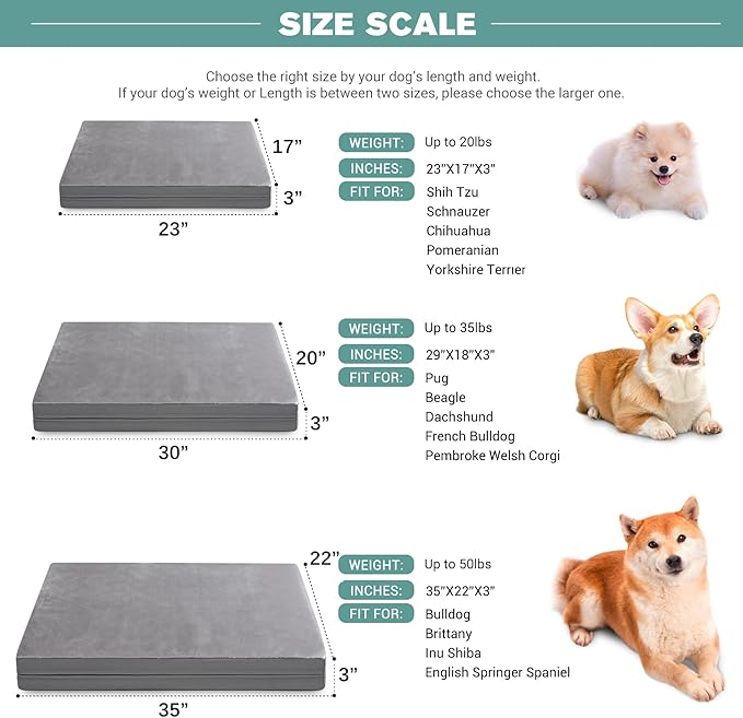 Waterproof Small Dog Bed Crate Pad 24 inch, Washable Puppy Bed Orthopedic with Removable Cover Reversible, Foam Dogs Bed, Cat Bed Kennel Pad 23" x17, Durable Anti-Slip Bottom, Gray