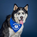 Service Dog in Training Dog Bandana (Black, OS 289)