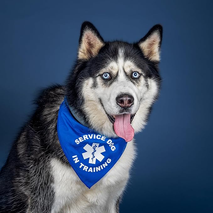 Service Dog in Training Dog Bandana (Navy, OS 289)