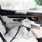 Cat Harness and Leash Set for Walking Escape Proof, Improved Four Place Adjustable Cat Car Harness, Soft Kittens Vest with Reflective Strip for Cats, Comfortable Outdoor Vest, Black, XS
