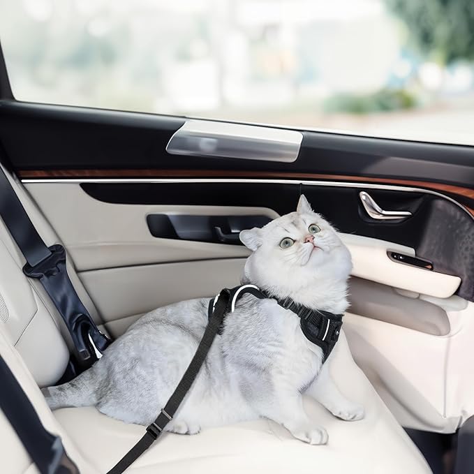 Cat Harness and Leash Set for Walking Escape Proof, Improved Four Place Adjustable Cat Car Harness, Soft Kittens Vest with Reflective Strip for Cats, Comfortable Outdoor Vest, Black, XS
