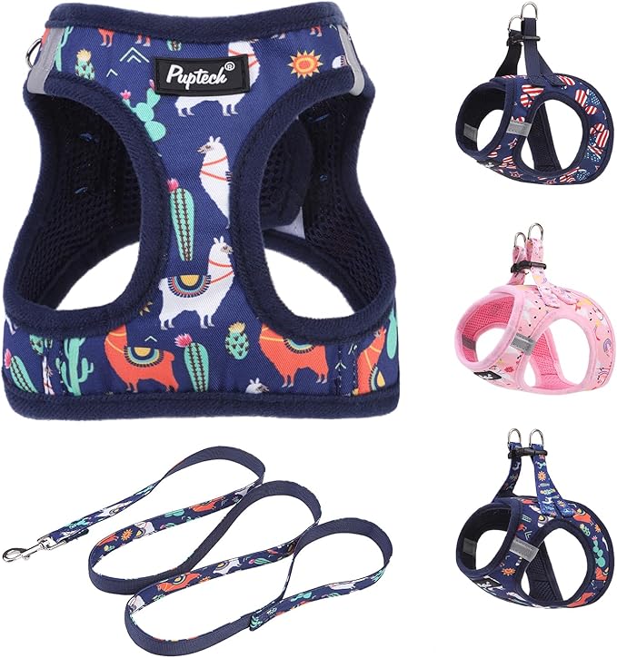 PUPTECK Dog Harness and Leash Set for Small Medium Dogs No Pull Step-in Soft Mesh Puppy Cat Vest Harnesses Reflective at Night, NavyBlue Print, M