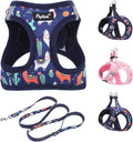 PUPTECK Dog Harness and Leash Set for Small Medium Dogs No Pull Step-in Soft Mesh Puppy Cat Vest Harnesses Reflective at Night, NavyBlue Print, M