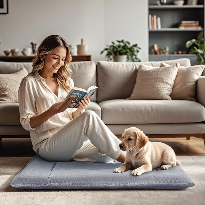 Dog Bed Mat, Crate Pad Reversible,Soft Kennel Pad, Washable Dog Crate Mat (Cool and Warm),Pet Sleeping Mattress for Small Medium Dogs XB009 (36''x23'',Grey)