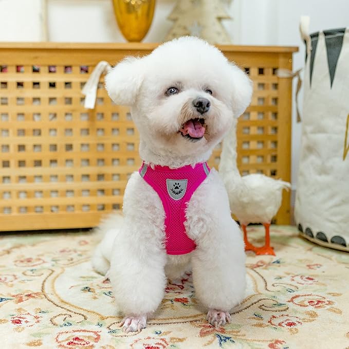 PUPTECK Adjustable Dog Harness Collar and Leash Set Step in No Pull Pet Harness for Small Medium Dogs Puppy and Cats Outdoor Walking Running, Soft Mesh Padded Reflective Vest Harnesses, Solid Pink XS