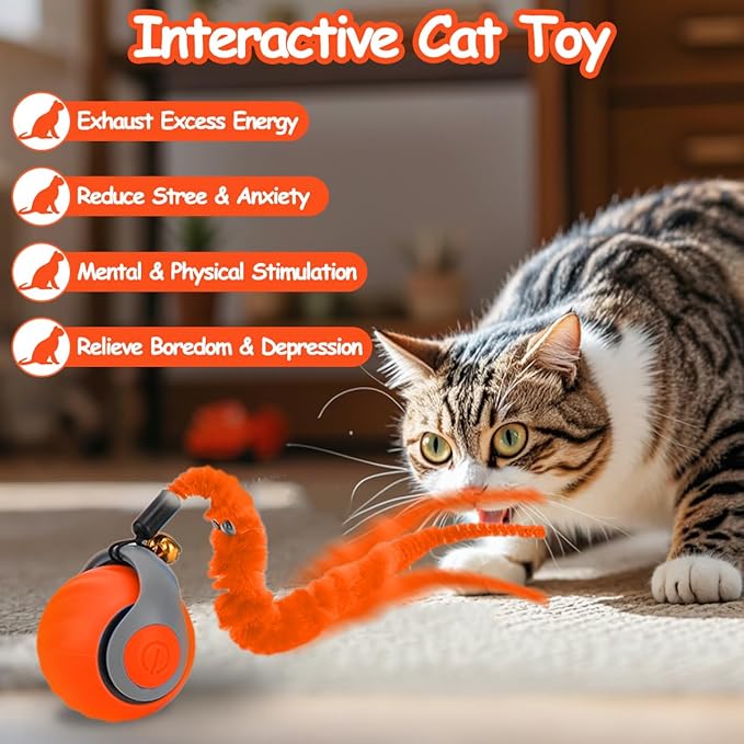 2PCS Interactive Cat Toy Ball with Feather Tails - Speedy Cat Toys for Indoor Cats, Moving Stimulation Smart Cat Toy for Enrichment, Motion Activated Automatic Rolling Toys to Keep Them Busy Orange