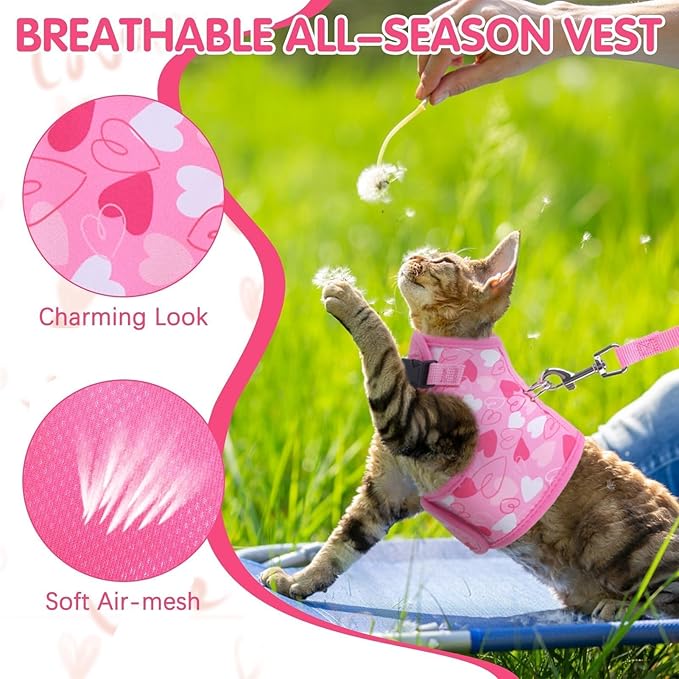 BINGPET Cat Harness and Leash Set Escape Proof for Walking,Step-in Harness with Lightweight Soft Breathable Mesh,Adjustable Easy Control Harness for Kitten Puppy Small Medium Large Cats(Heart,M)