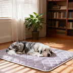 Bubble bear Dog Crate Mat - Ultra Soft, Washable & Anti-Slip Kennel Pad for Small/Medium/Large Dogs, Dark-Hued to Hide Stains (30"x19")
