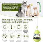 Cat Toy for Indoor Cats Wobble Treat Dispenser Ball Kitten Food Dispenser & Puzzle Feeder Balls & Enrichment Toys & Mental Stimulation Interactive Brain Game