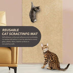 78.7"X15.8" Cat Scratching Mat, Self-Adhesive Cat Scratch Carpet, DIY Cats Scratch Furniture Protector for Couch, Sofa, Wall & Door, Durable Furniture Guards Couch Scratcher from Cats Claws (Beige)
