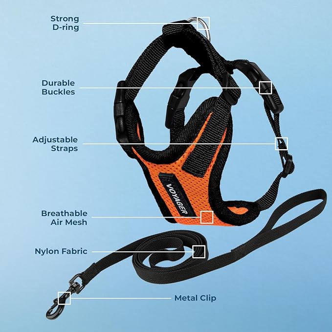 Voyager Escape-Proof Step-in Lock Cat Harness & 5ft Neoprene-Handle Leash Set All-Weather Mesh with Reflective Stitching for Small to Large Cats by Best Pet Supplies, Orange/Black Trim, XXXS