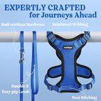 rabbitgoo Cat Harness and Leash for Walking, Escape Proof Soft Adjustable Vest Harnesses for Cats, Easy Control Breathable Reflective Strips Jacket, Navy Blue, S