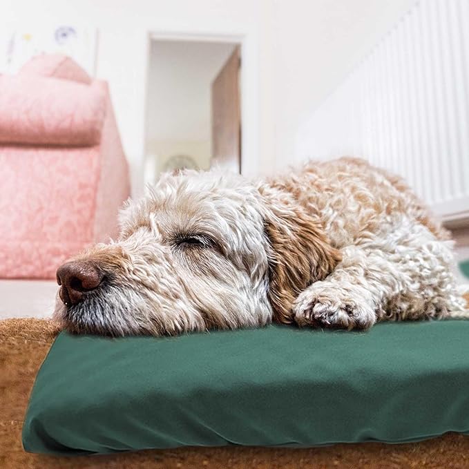 Dog Bed Cover Waterproof Replacement Machine Washable Covers for Dog Bed Heavy Duty Scratch Resistant Mattress Protector Pet Bed 24x18 Inch Dark Green Cover Only