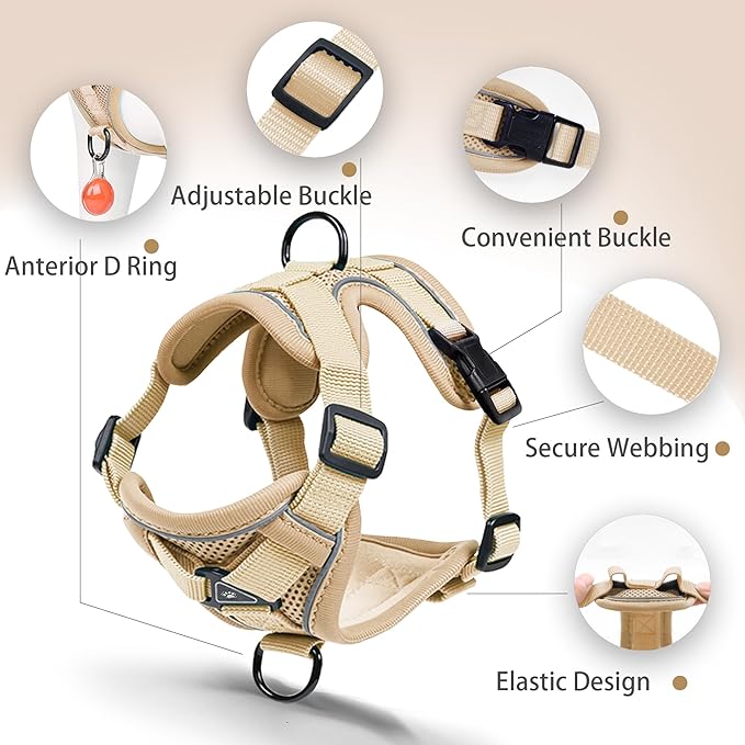 No Pull Dog Harness with Leash Set for Medium Sized Dog, Reflective Adjustable No Choke Front Clip Cat Vest Harness with Breathable Mesh, Comfortable Soft Padded Pet Vest, Brown XL