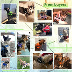 voopet Service Dog Harness, Emotional Support Pet Vest Harness, Reflective Breathable & Adjustable No Pull ESA Harness for Small Medium Large Dogs (with 4 PCS Removeable Tags),XX Small (Pack of 1)