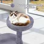24" Scratching Post, Interactive Cat Scratcher, with Perch & Plush Toy, Sturdy Weighted Base, Grey