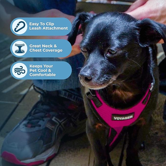 Voyager Step-in Pet Harness - All Weather Mesh, Adjustable Step in Harness for Cats and Dogs by Best Pet Supplies - Fuchsia/Black Trim, L