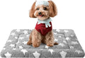 Dog Bed Mat, Reversible Crate Pad & Cute Dog Bed - Machine Washable Kennel Mat with Ultra Soft for Small Dogs (Cool/Warm), 24" x 18", Grey&Star