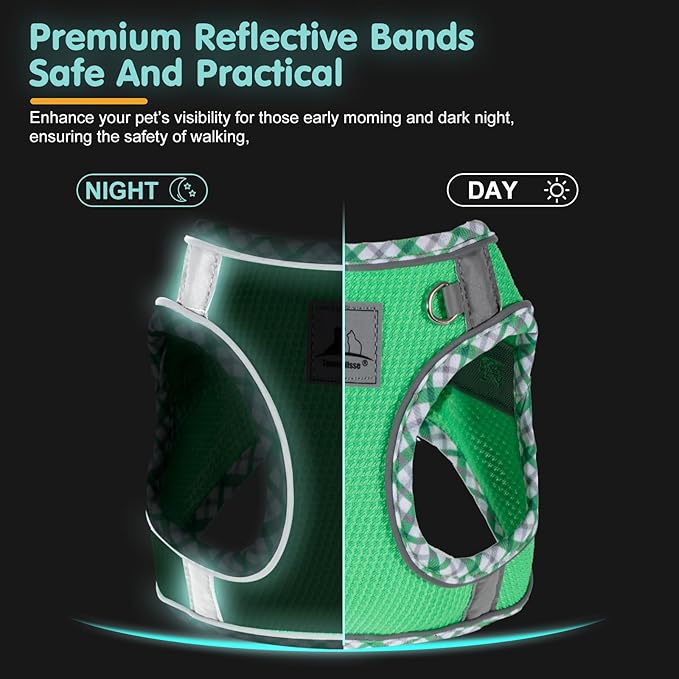 Dog Harness and Leash Set, No Pull Pet Harness for Small Dogs Easy Walking,Soft Breathable Small Dog Harness,Adjustable Reflective Step in Vest Harness for Puppy ,kitten, Cats