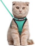 rabbitgoo Cat Harness and Leash Set for Walking Escape Proof, Adjustable Soft Kittens Vest with Reflective Strip for Cats, Comfortable Outdoor Vest,Green,L