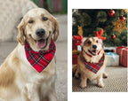 Birthday Plaid Dog Bandana with Button, Dual Layer Scarf Soft Cotton Triangle Bib Girls and Boys Kerchief Adjustable Accessories for Small Medium Large Extra Large Dog Puppy Pet Cat