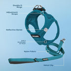 Best Pet Supplies Voyager Step-in Air All Weather Mesh Harness and Reflective Dog 5 ft Leash Combo with Neoprene Handle, for Small, Medium and Large Breed Puppies - Set (Turquoise), L