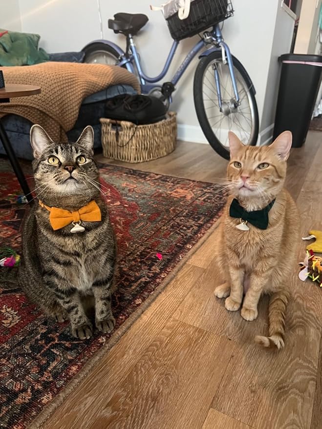 2 Pack Soft Corduroy Cat Collars with Bow Tie & Bell, Adjustable Breakaway Cotton Kitty Bowtie Collar for Girl Boy Kitten (Orange & Green)