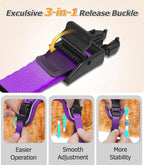 Halypet Cat Harness and Leash Set [MAX Safety 4th-Gen Upgrade] Escape Proof Adjustable Cat Leash Comfortable Soft Vest Easy to Wear Kitten Harness with Reflective Strip for Cats Walking, M Purple