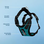 Voyager Step-in Pet Harness - All Weather Mesh, Adjustable Step in Harness for Cats and Dogs by Best Pet Supplies - Turquoise/Black Trim, M