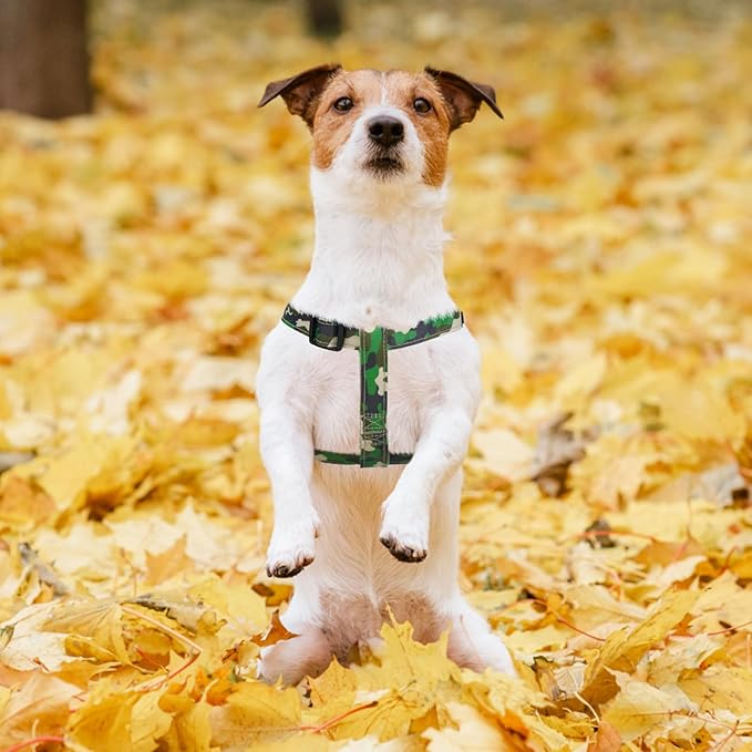 PUPTECK No Pull Dog Harness Soft Adjustable Basic Nylon Step in Puppy Vest Outdoor Walking with ID Tag, Camouflage, S