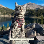 Lucy & Co. Wild Side Step-in Cat Harness & Leash Bundle – Reflective, Breathable & Adjustable Harness for Cats, Kittens & Small Dogs, Lightweight & Secure and Dual Leash Clips – X-Small