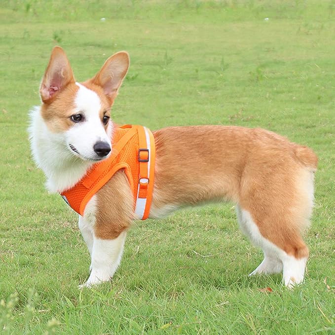 FEimaX Dog Harness and Leash Set for Walking, Soft Mesh Adjustable Easy Control Lightweight Cat Vest Harnesses with Reflective Strips, Escape Proof Small Dogs Cats Vests (Orange, Large)
