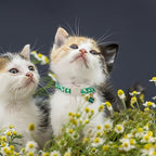Lionet Paws 2pcs Pack St. Patrick Cotton Cat Collar,Breakaway Buckle with Clover and Bone Stick Cute Adjustable Green Cat Kitten Collar,Ideal for Girl Cats Boy Cats