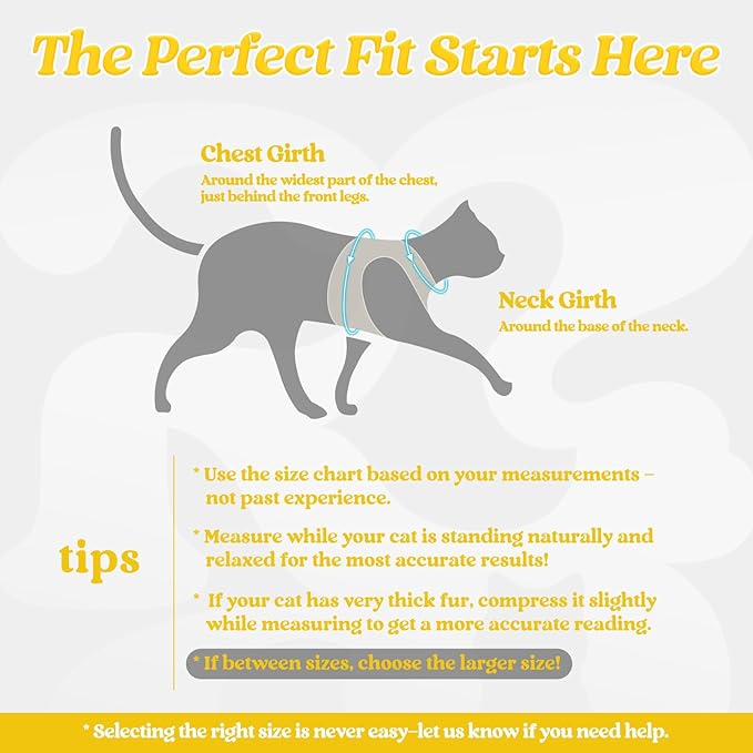 rabbitgoo Cat Harness and Leash Set for Walking Escape Proof, Adjustable Soft Kittens Vest with Reflective Strip for Cats, Comfortable Outdoor Vest, Bright Yellow, S