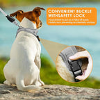 Dog Harness and Leash Set, No Pull Saddle Style Pet Harness, Breathable Mesh Adjustable Reflective Dog Vest for Dogs and Cat Medium Small Harness 2 D-Rings (Grey, L)