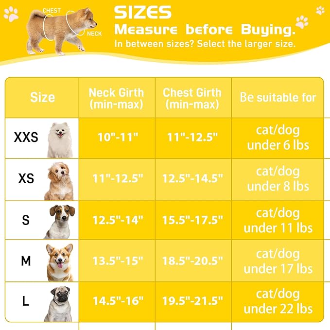 Soft Mesh Dog Harness and Leash Set, No Pull Puppy Harness and Leash Set, Reflective Step in Harness for Small Medium Dogs, Easy Walk Escape Proof Vest Harnesses (Yellow, XXS)