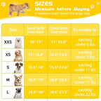 Soft Mesh Dog Harness and Leash Set, No Pull Puppy Harness and Leash Set, Reflective Step in Harness for Small Medium Dogs, Easy Walk Escape Proof Vest Harnesses (Yellow, XXS)