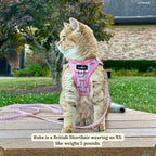 Lucy & Co. Take a Bow Step-in Cat Harness & Leash Bundle – Reflective, Breathable & Adjustable Harness for Cats, Kittens & Small Dogs, Lightweight & Secure and Dual Leash Clips – X-Small