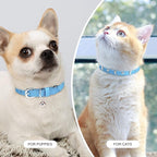 Leather Cat Collars for Boy Girl Cats with Bell and Safety Elastic Belt, Personalized Star and Moon Stud Adjustable Safe Buckle Collar for Kitty Small Big Cats Size 8-12 Inch, Light Blue