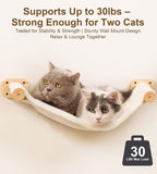 Cat Wall Shelves with 1 Floating Fabric Hammock, 2 Ladders with 4 Steps Each & 1 Flat Cat Shelf, Wall Mounted Bed Furniture & Climber, Indoor Playground
