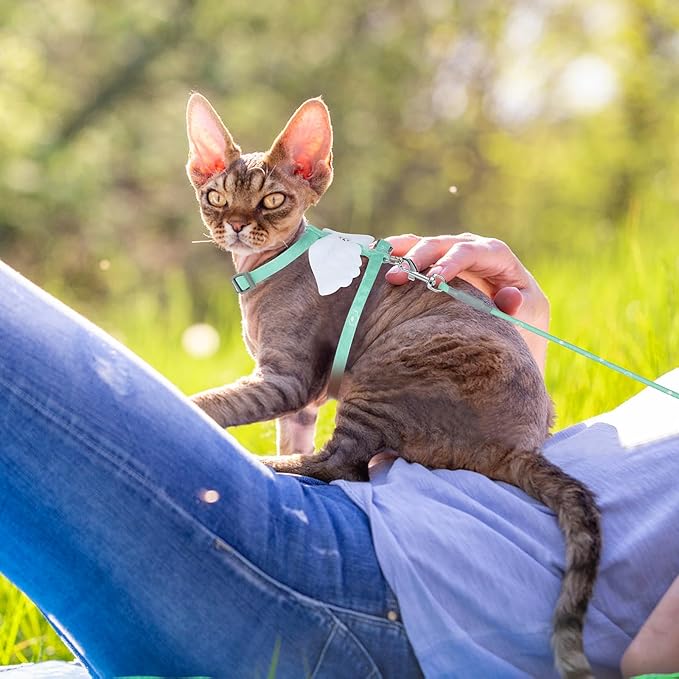 TIESOME Cat Harness and Leash Set, Adjustable Gradient Kitten Harness Escape Proof Harness with Leash for Kitty Outdoor Walking (Green)