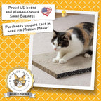 Hide & Scratch Cat Scratcher Pad – 2 Pack | Double-Sided Cardboard Refills for Our Scratching Box | Reversible Corrugated Board for Indoor Cats | Toy Mat for Kitten Claw Play & Furniture Protection