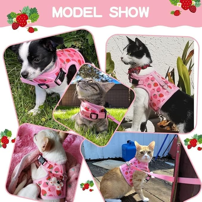 BINGPET Cat Harness with Leash Escape Proof - Fashionable Mesh Cat Dog Walking Harness Leads, Adjustable for Kitties Puppies Small Animals