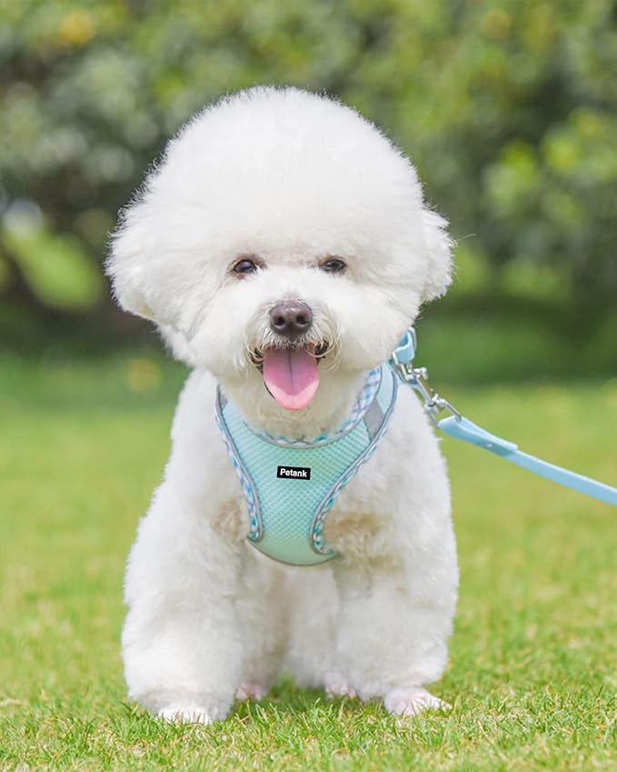 Petank Dog Harness for Small Medium Dogs No Pull, Puppy Harness and Leash Set, Step in Dog Harness for Walking, Running, Training, Small Dog Vest, Medium Dog Vest (Light Blue, L)