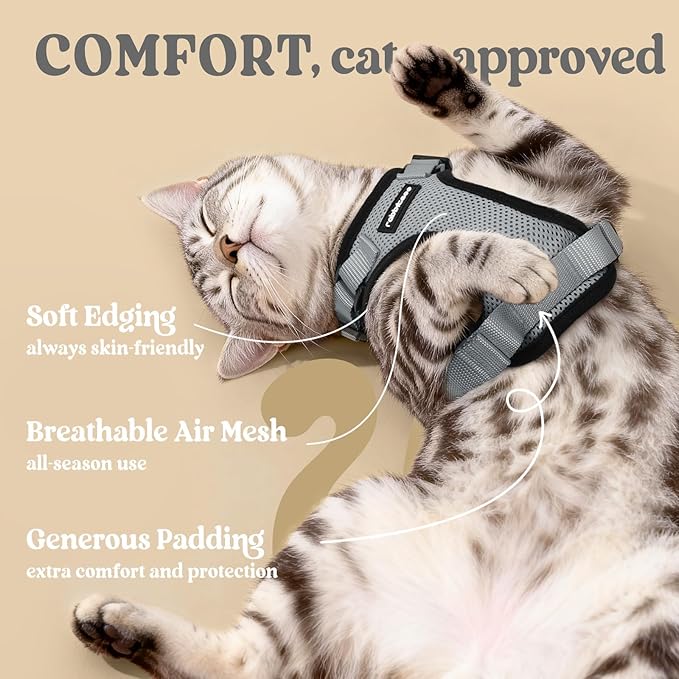 rabbitgoo Cat Harness and Leash for Walking, Escape Proof Soft Adjustable Vest Harnesses for Cats, Easy Control Breathable Reflective Strips Jacket, Grey, M